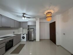The Visionaire (D27), Condominium #620845991